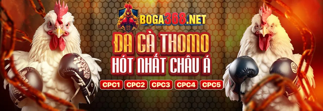 Đấu trường đá gà trực tuyến sôi động tại vip666 khuyến mãi